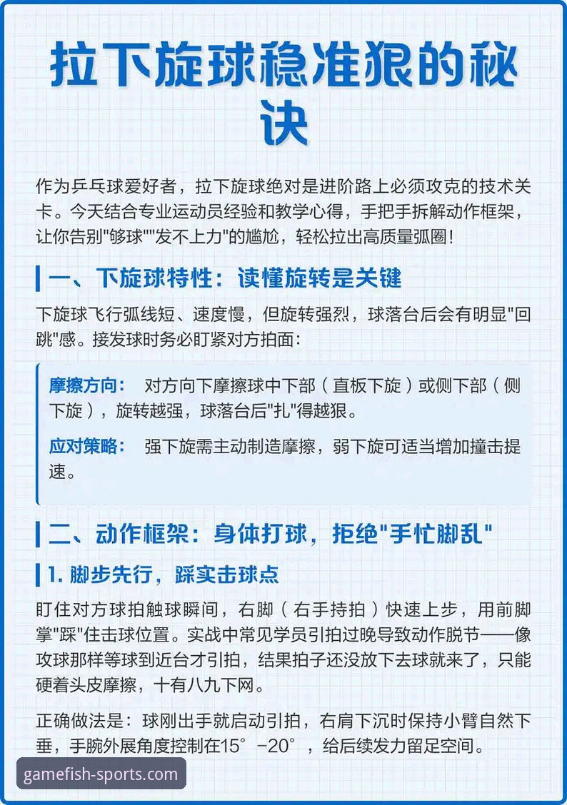 乐鱼体育赛事直播功能详解与新手操作指南